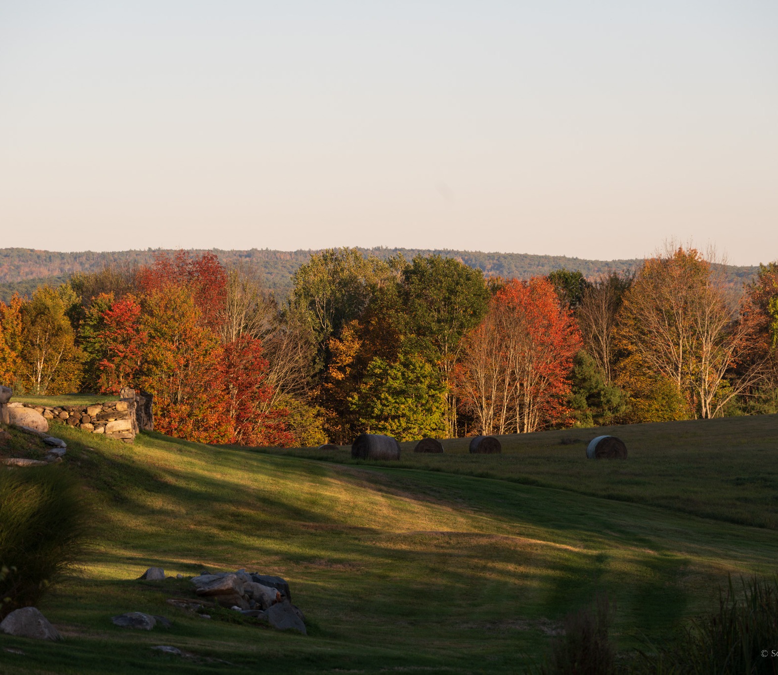Autumn hay bales with fall foliage, Vermont