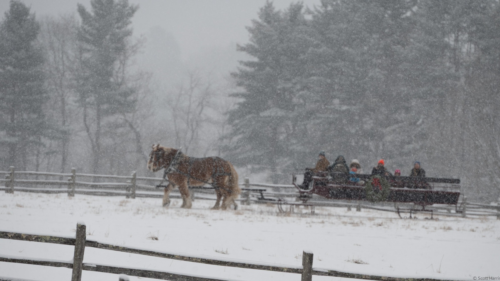 Horse-drawn sleigh in a Vermont snowstorm