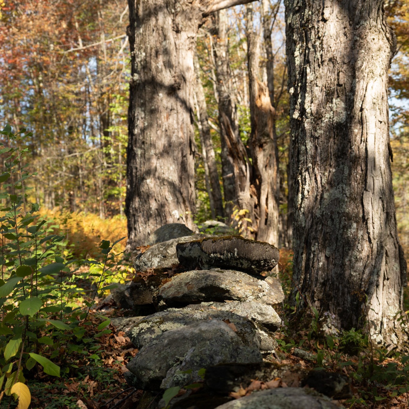 Stone cairn among autumn forest trees, Vermont